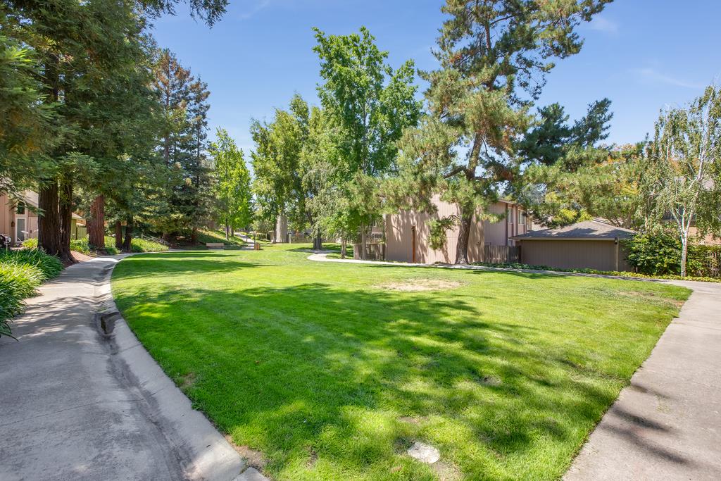 22963 Longdown Road Cupertino, CA 95014 - Photo 75 of 115 Gallery Image 75