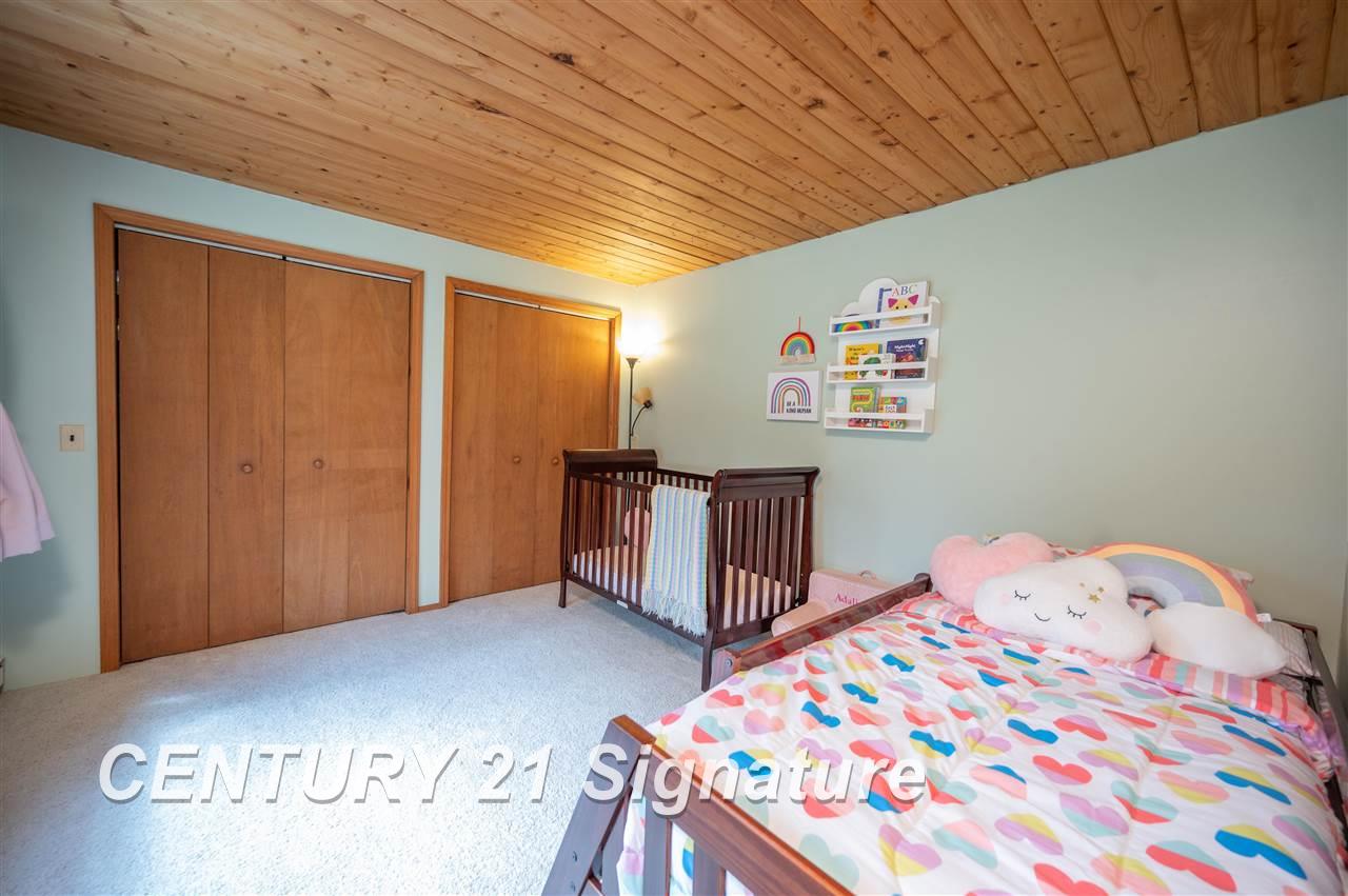 7795 South Meridian Road Bannister, MI 48807 - Photo 26 of 85