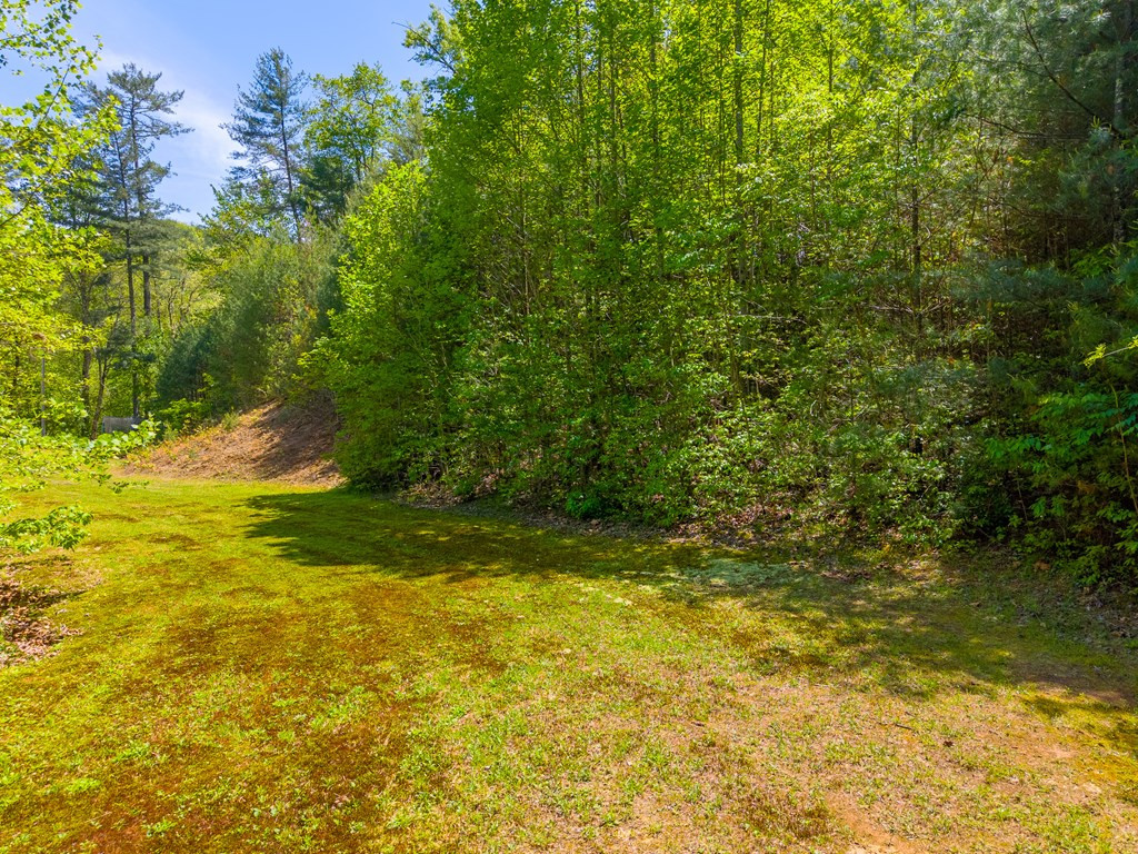 1364 Atoah Road Robbinsville, NC 28771 - Photo 50 of 71