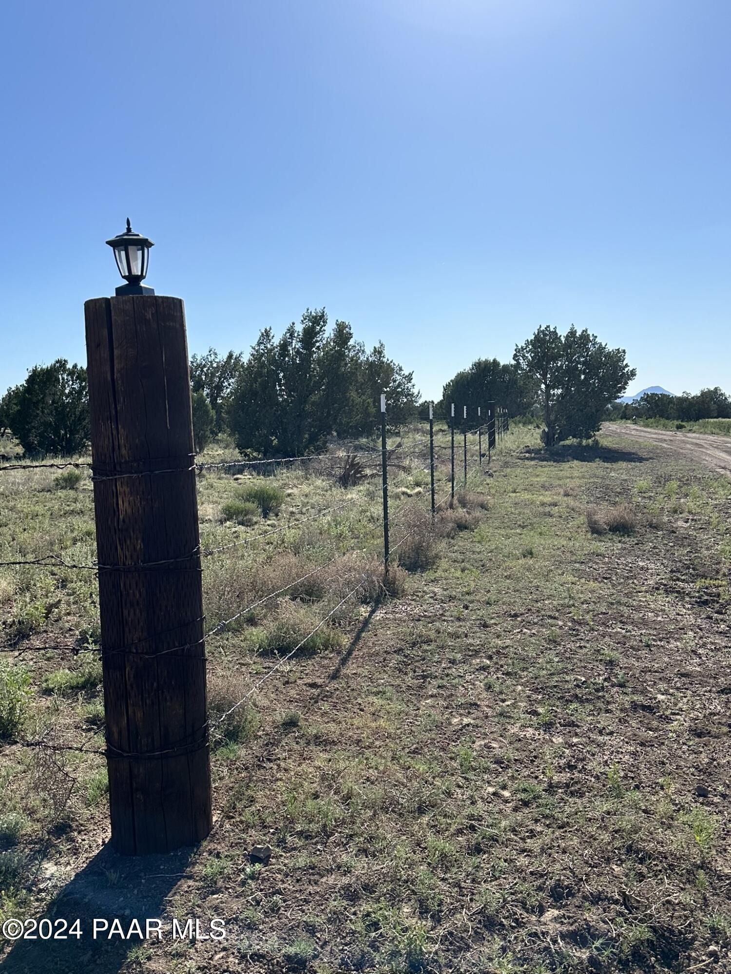 228 Flying Wrench Road Ash Fork, AZ 86320 - Photo 11 of 16 a view of a dry yard with trees