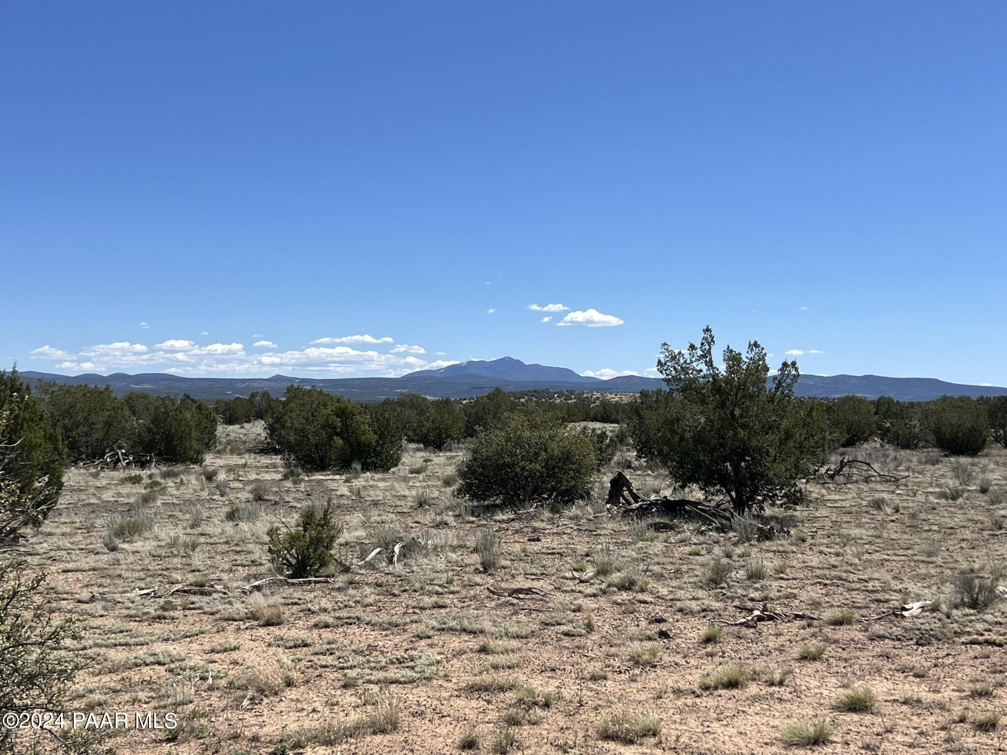 228 Flying Wrench Road Ash Fork, AZ 86320 - Photo 9 of 16 a view of a mountain with a garden