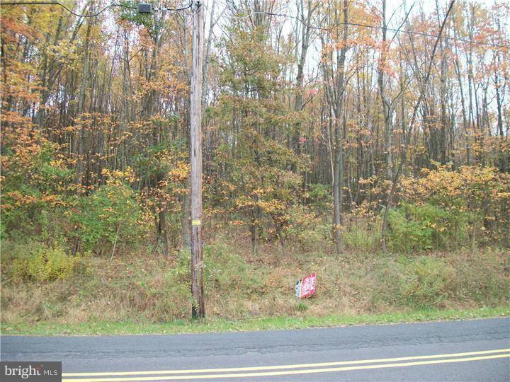 181-001 Three Mile Run Road Perkasie, PA 18944 - Photo 1 of 5