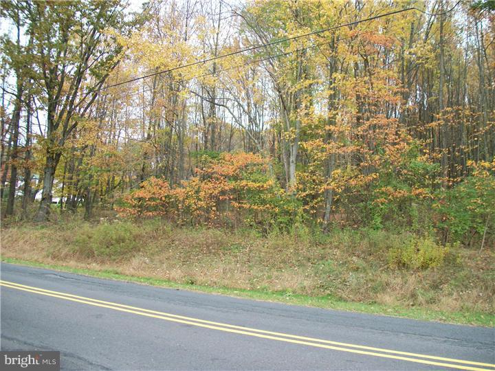 181-001 Three Mile Run Road Perkasie, PA 18944 - Photo 3 of 5