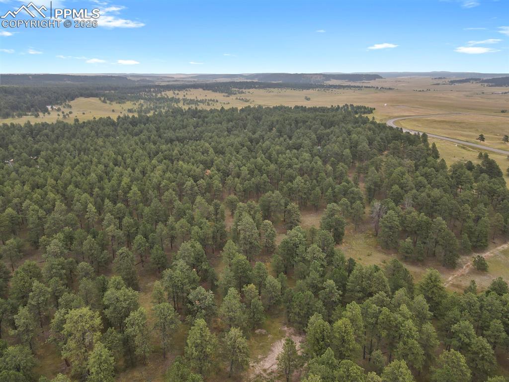 10437 Alamar Way Colorado Springs, CO 80908 - Photo 7 of 11 a view of a city with an ocean