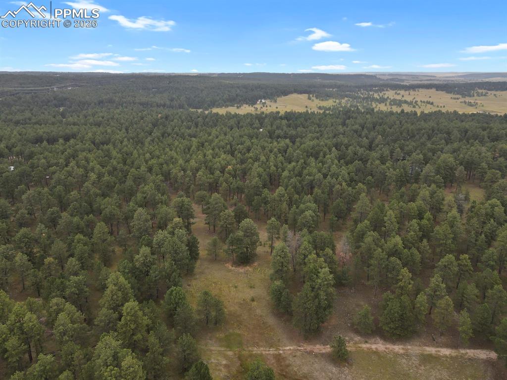 10437 Alamar Way Colorado Springs, CO 80908 - Photo 9 of 11 a view of a city