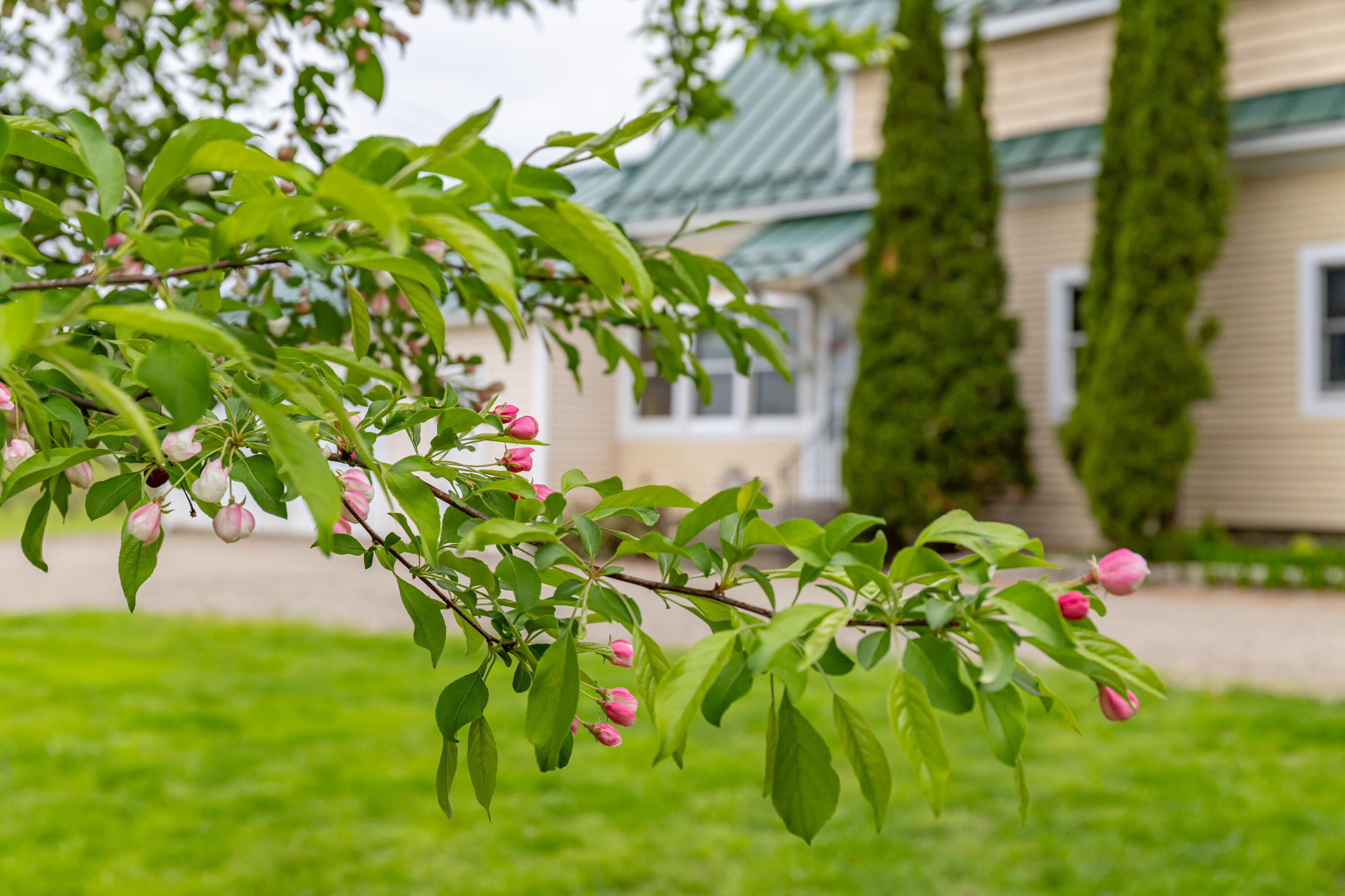 303 Williams Road Bradford, ME 04410 - Photo 4 of 79 303 Williams Road Exteriors-60