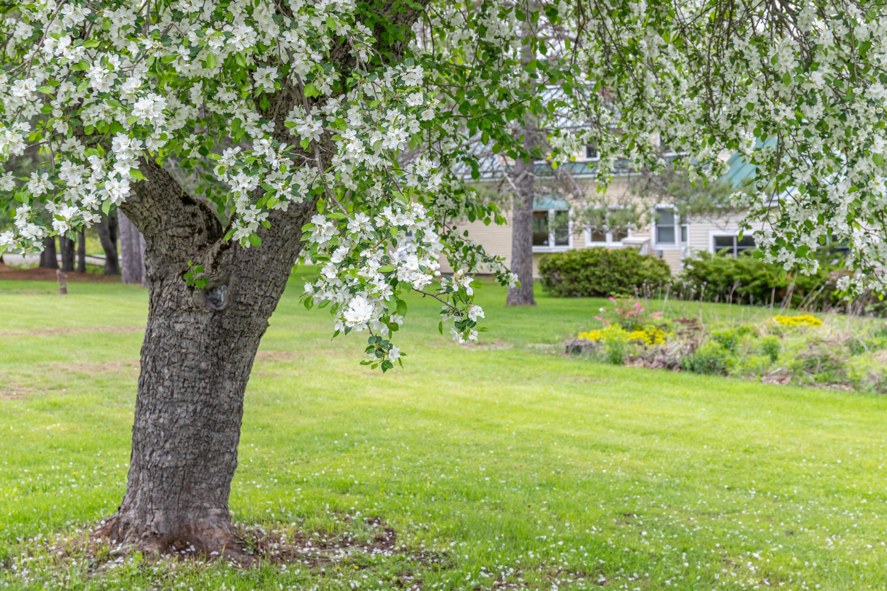 303 Williams Road Bradford, ME 04410 - Photo 65 of 79 303 Williams Road Exteriors-18