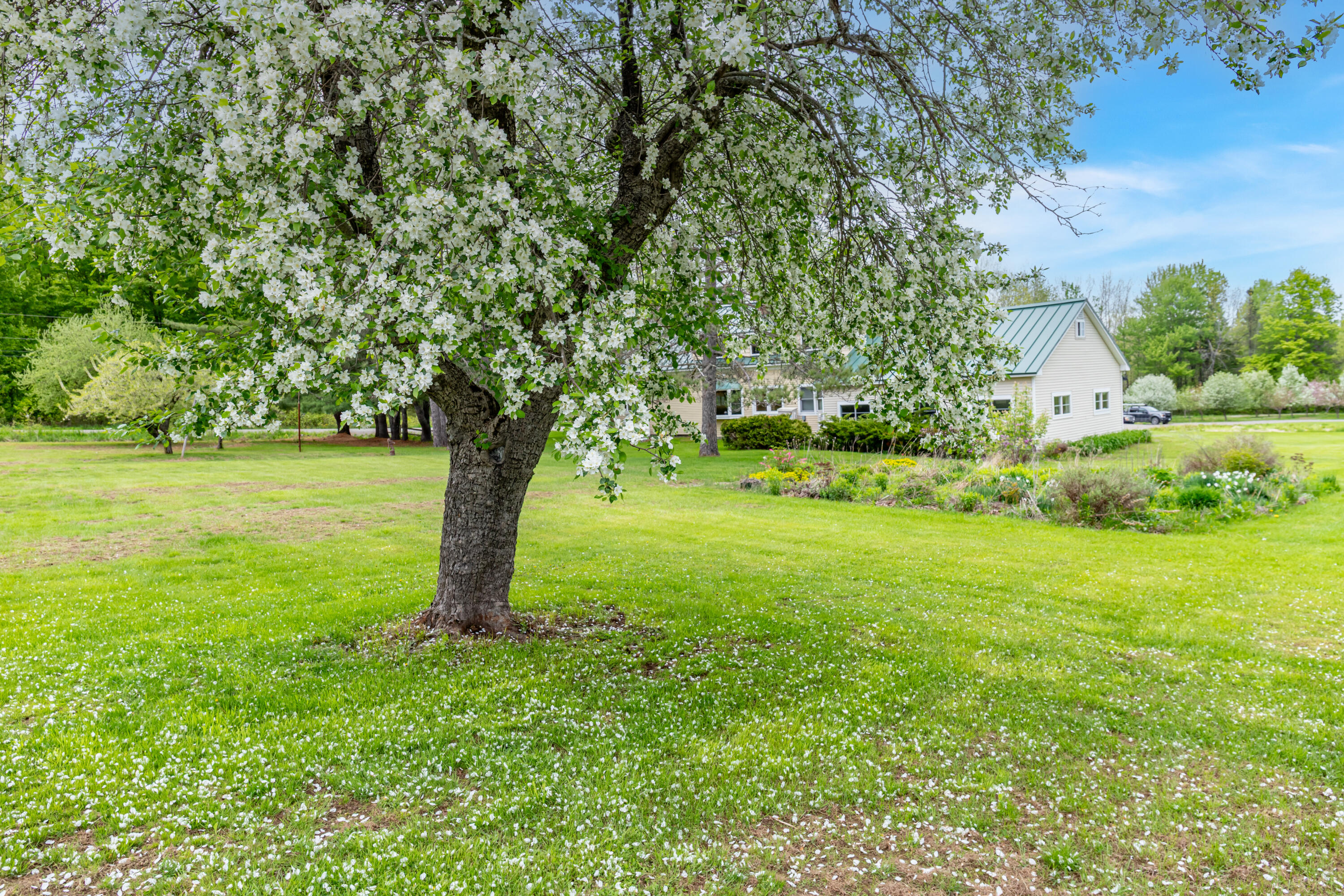 303 Williams Road Bradford, ME 04410 - Photo 66 of 79 303 Williams Road Exteriors-19