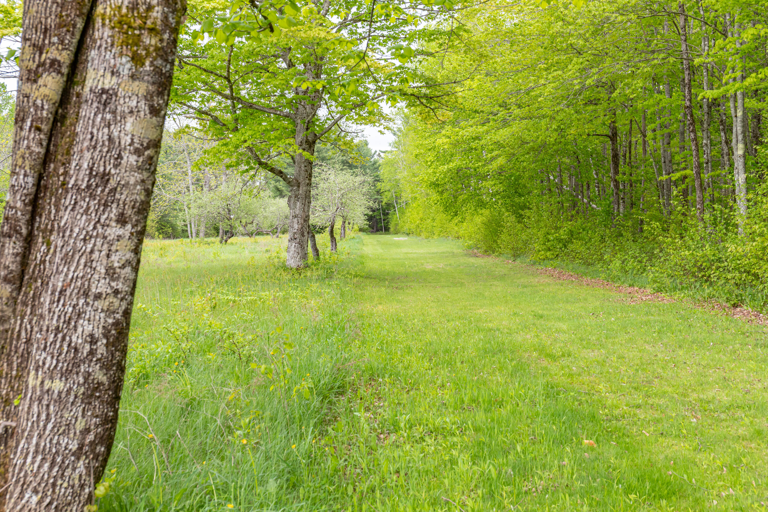 303 Williams Road Bradford, ME 04410 - Photo 69 of 79 303 Williams Road Exteriors-22