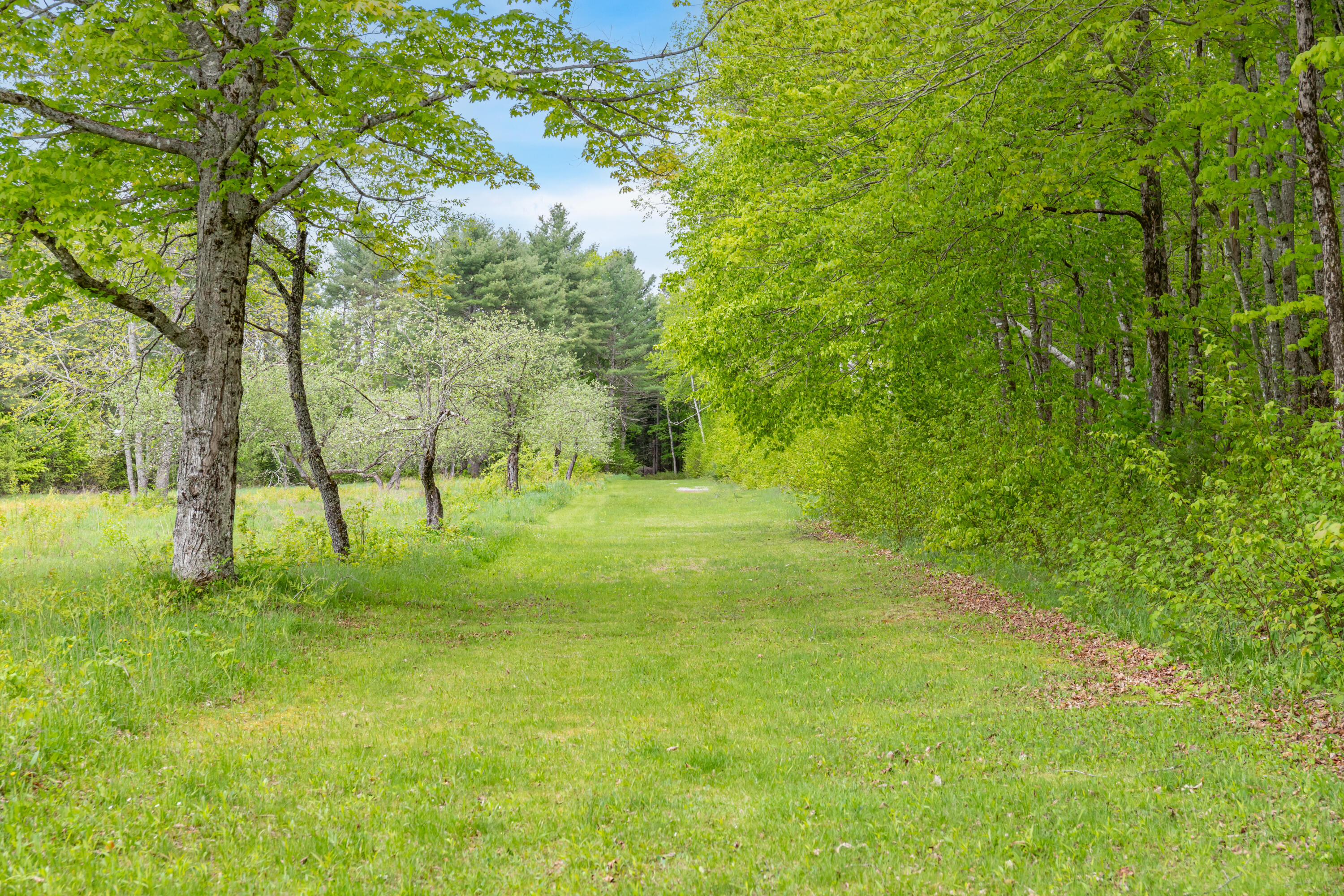 303 Williams Road Bradford, ME 04410 - Photo 70 of 79 303 Williams Road Exteriors-23