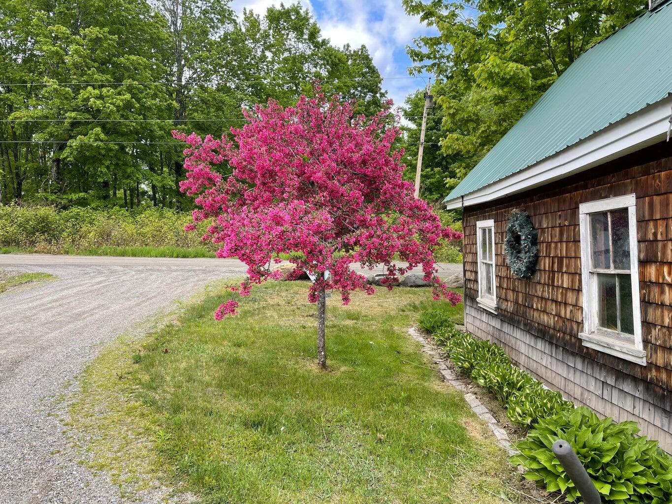 303 Williams Road Bradford, ME 04410 - Photo 78 of 79 Log Building 3