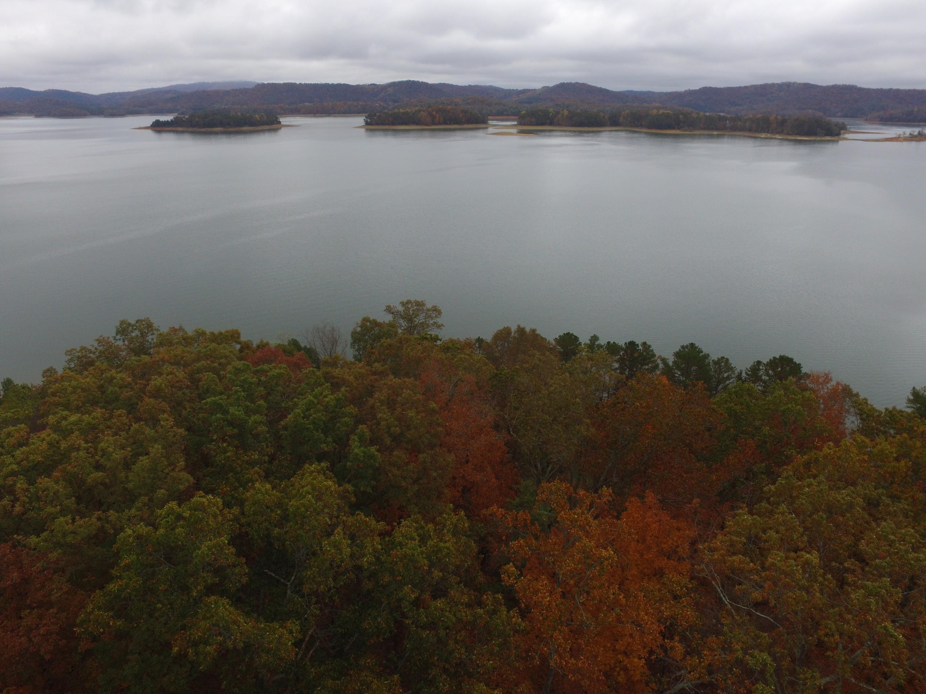 Woodland Drive Rutledge, TN 37861 - Photo 1 of 11 00001