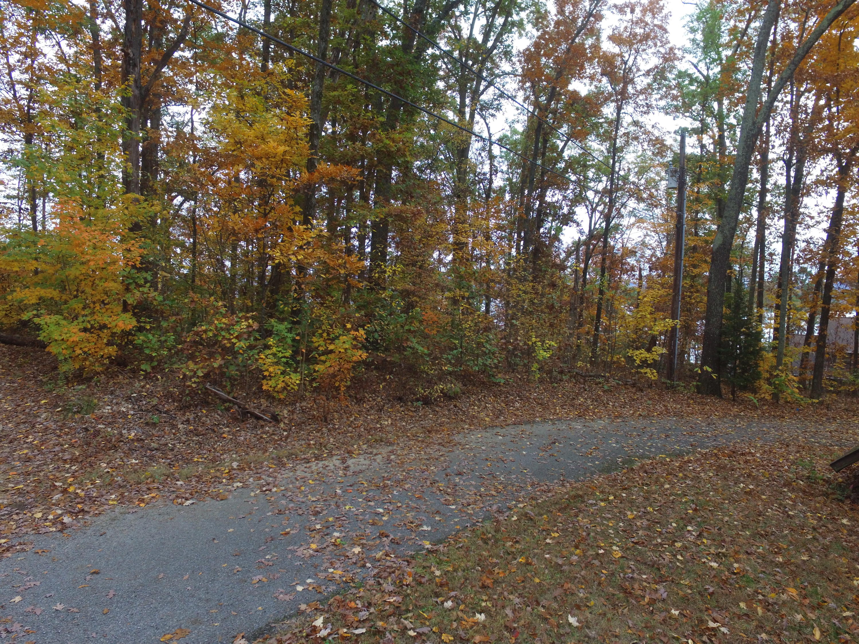 Woodland Drive Rutledge, TN 37861 - Photo 11 of 11 2017-11-09 11.18.48