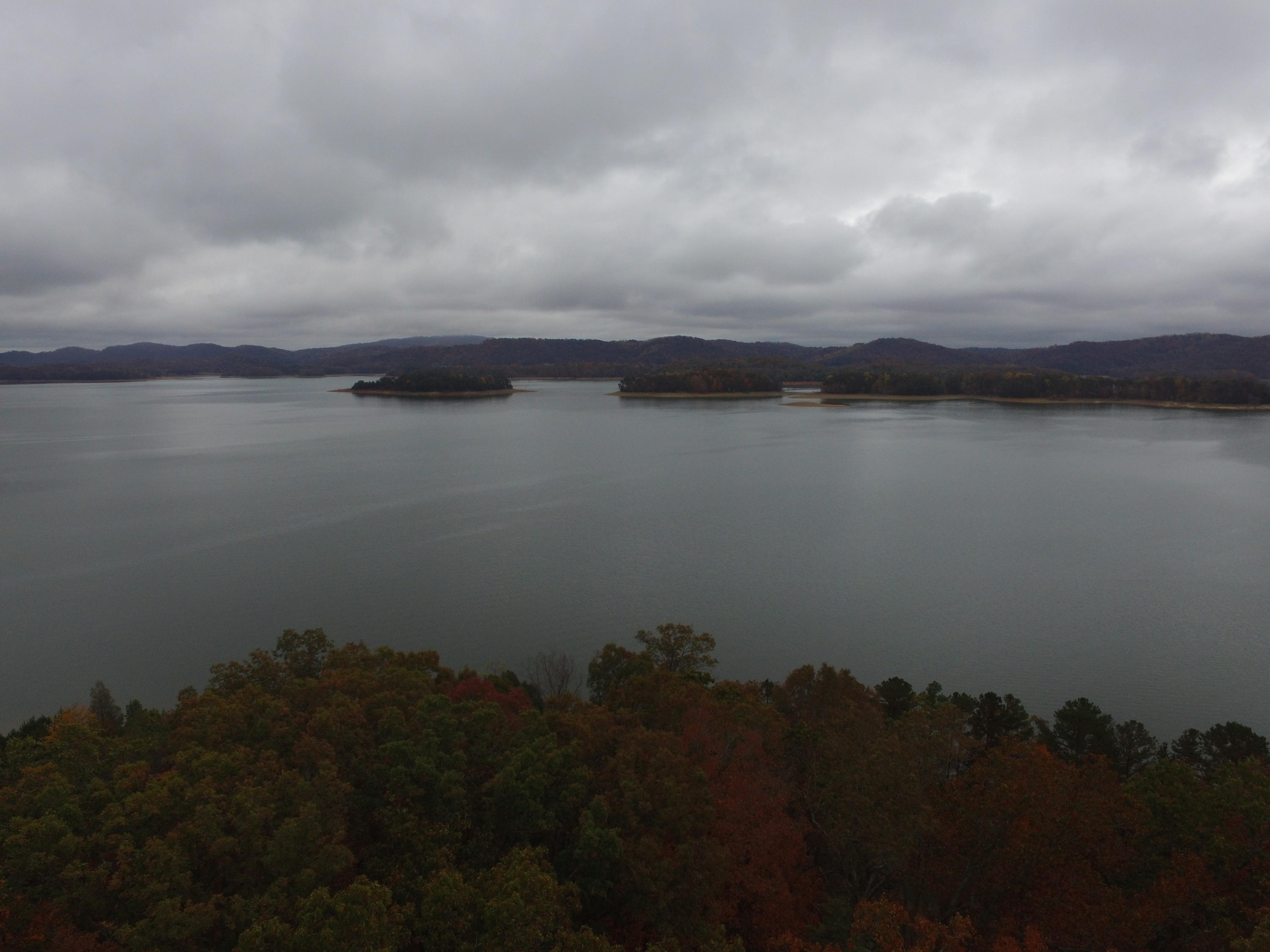 Woodland Drive Rutledge, TN 37861 - Photo 3 of 11 2017-11-09 11.15.47