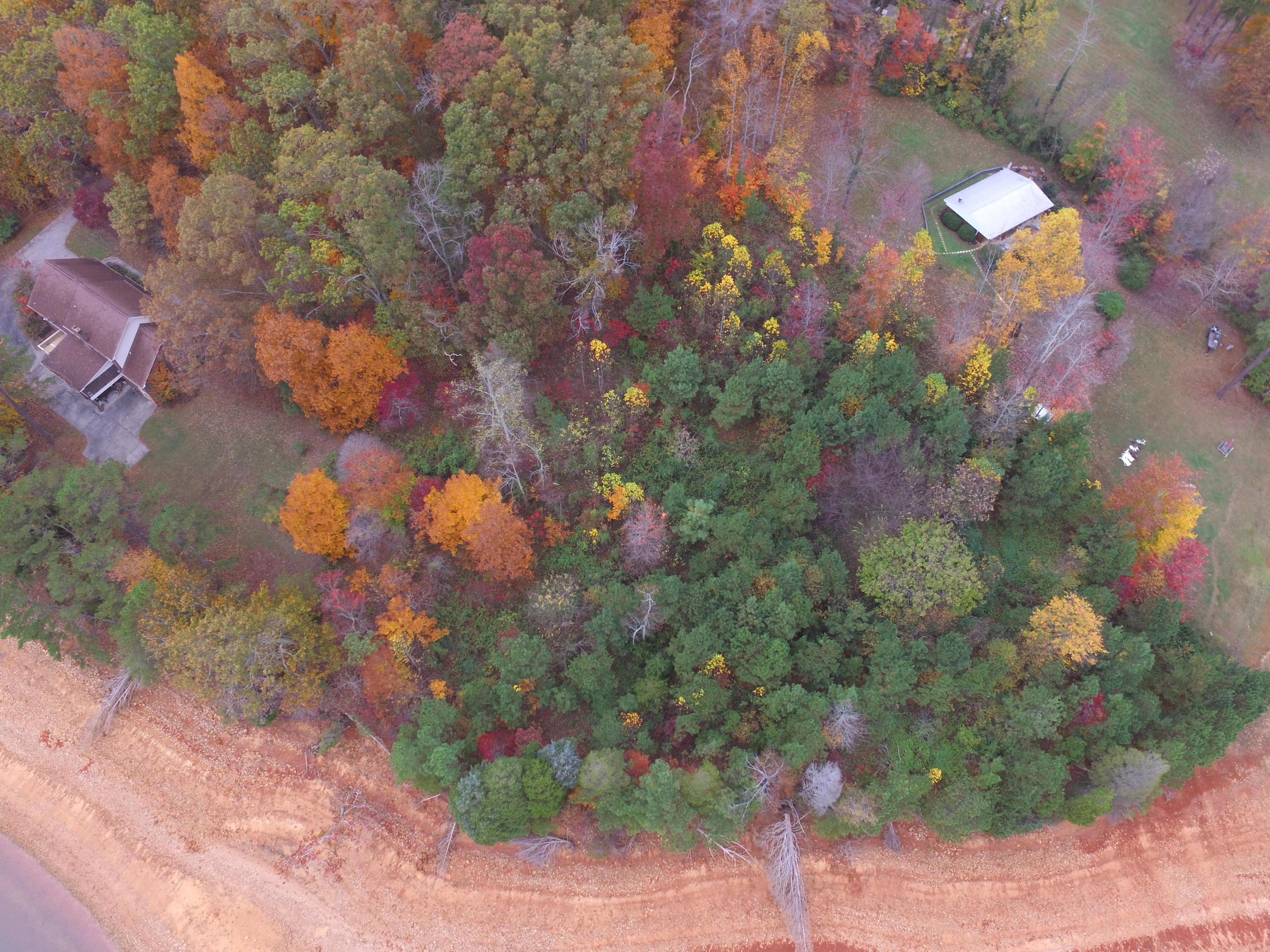 Woodland Drive Rutledge, TN 37861 - Photo 10 of 11 2017-11-09 11.17.33