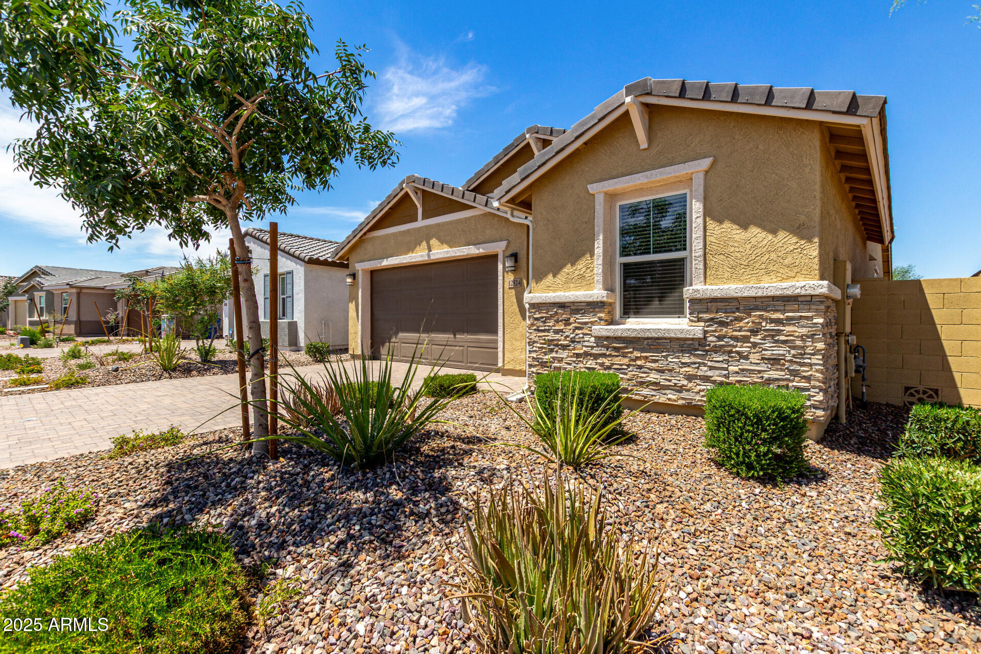 12524 West Trumbull Road Avondale, AZ 85323 - Photo 30 of 34 a front view of a house with garden