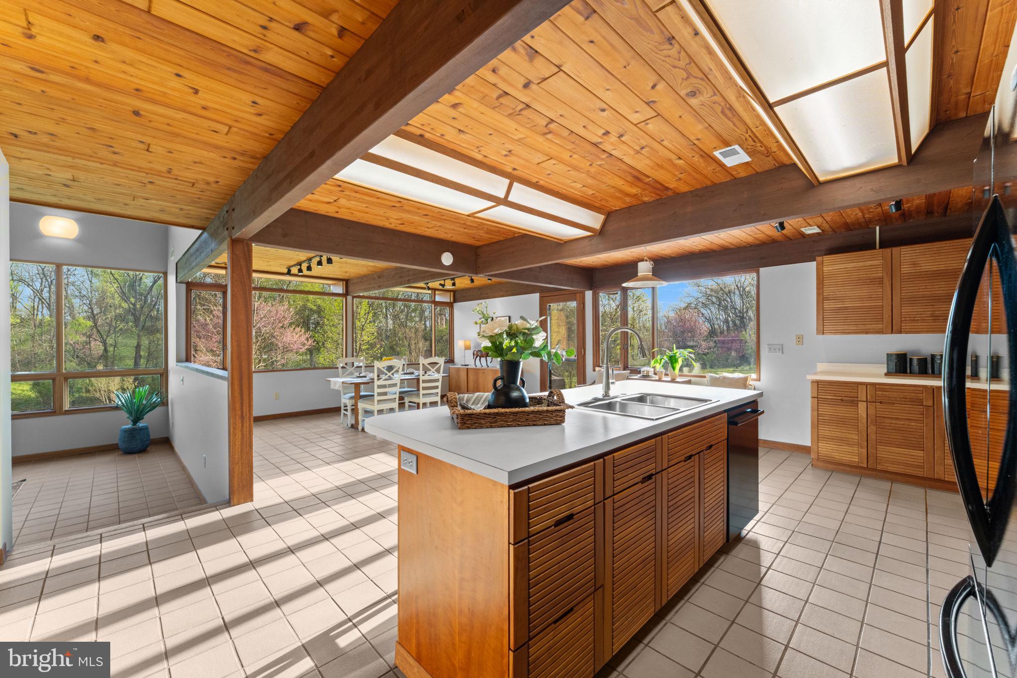 219 Tiger Valley Road Washington, VA 22747 - Photo 12 of 77 Sunlight kitchen