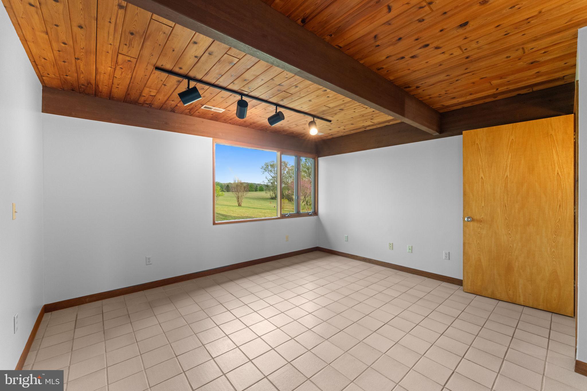 219 Tiger Valley Road Washington, VA 22747 - Photo 23 of 77 Main level bedroom or flex space