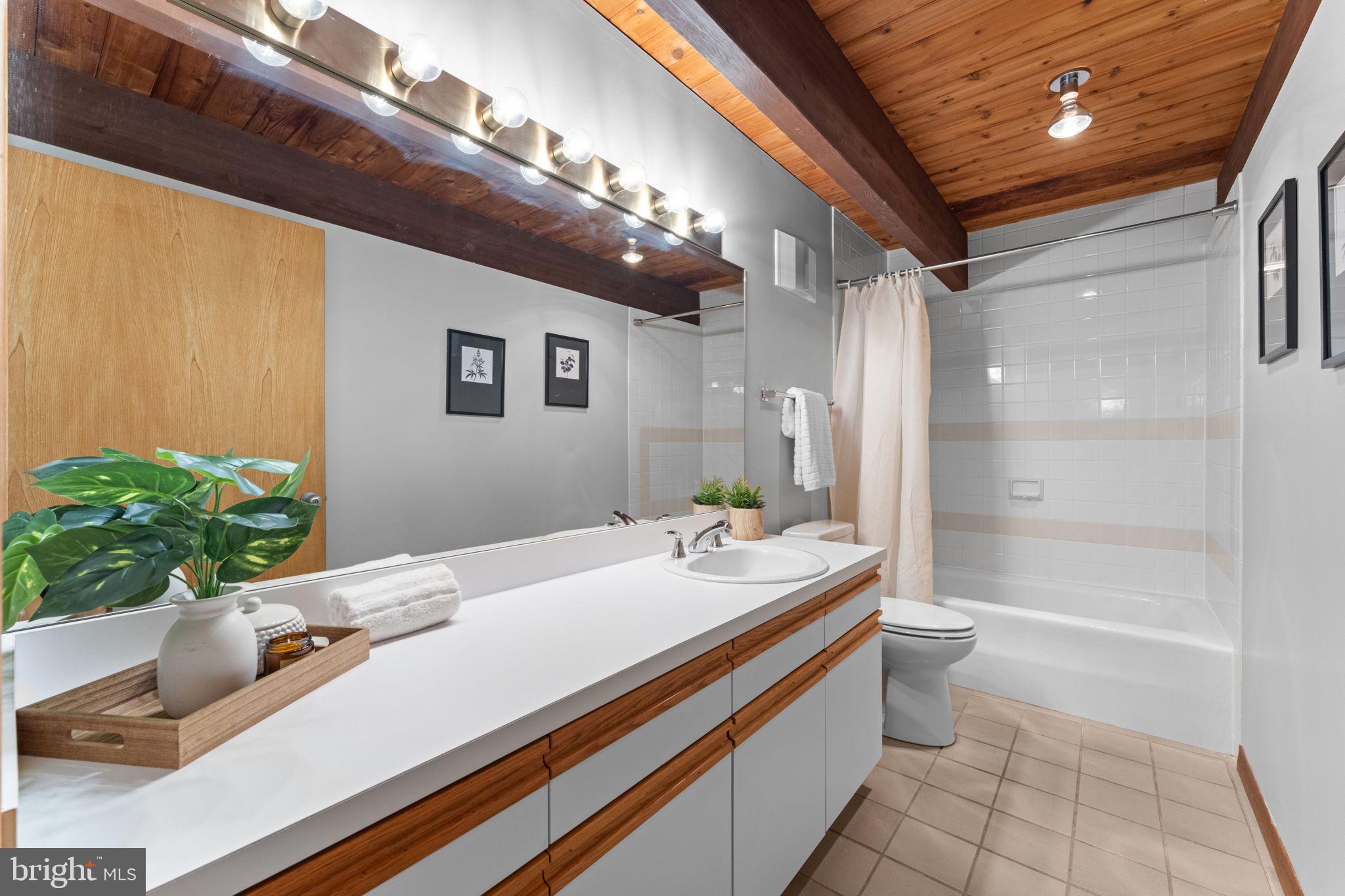 219 Tiger Valley Road Washington, VA 22747 - Photo 25 of 77 Full bathoom on main level