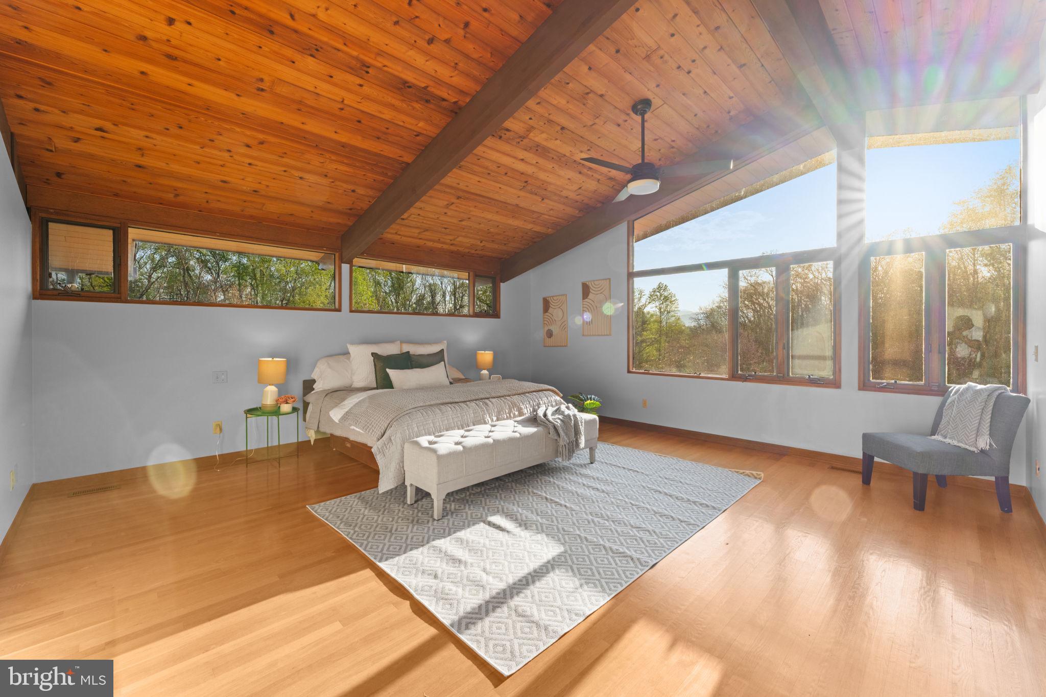 219 Tiger Valley Road Washington, VA 22747 - Photo 26 of 77 Primary suite of your dreams