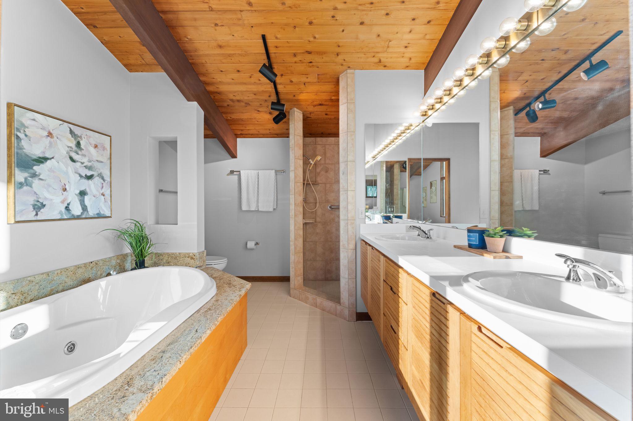 219 Tiger Valley Road Washington, VA 22747 - Photo 29 of 77 Primary spa bathroom jetted tub