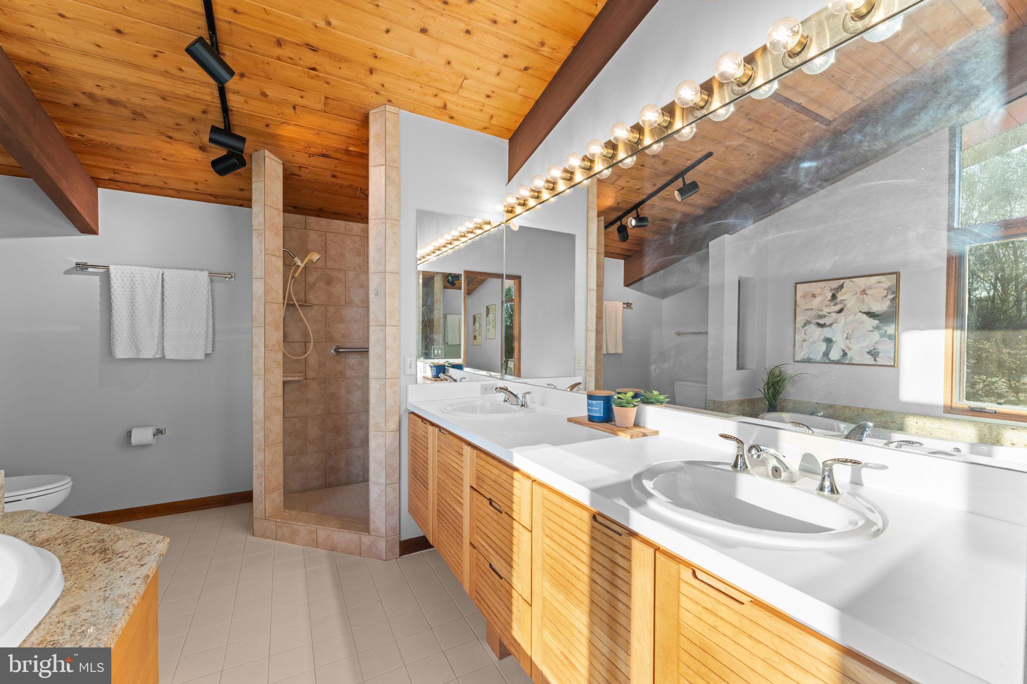 219 Tiger Valley Road Washington, VA 22747 - Photo 30 of 77 Grand vanity where you won't bump elbows