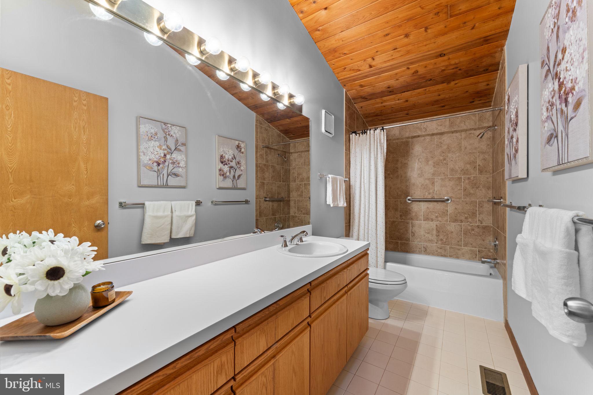 219 Tiger Valley Road Washington, VA 22747 - Photo 39 of 77 Upper level full bathroom with dual shower head