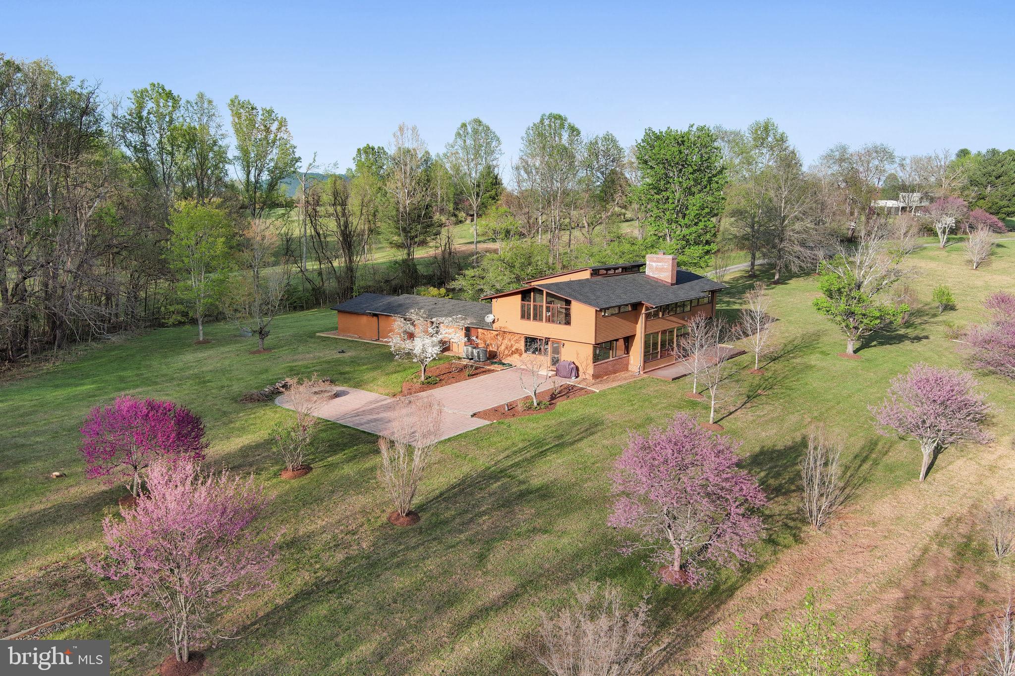 219 Tiger Valley Road Washington, VA 22747 - Photo 76 of 77 Bradford pears, evergreens and cherry trees
