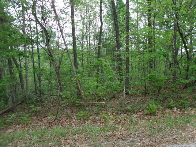 Copley Cemetery Road Road Jamestown, TN 38556 - Photo 2 of 2 165668_0