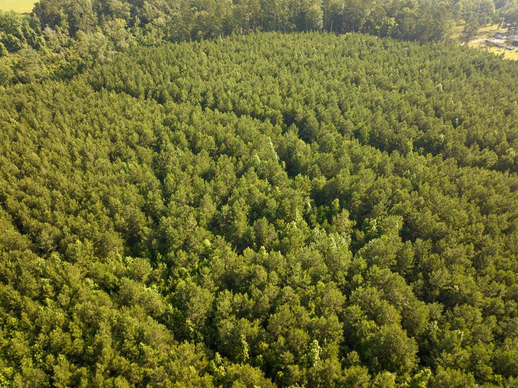 T-1 Ellis West Road Pitkin, LA 70656 - Photo 16 of 18
