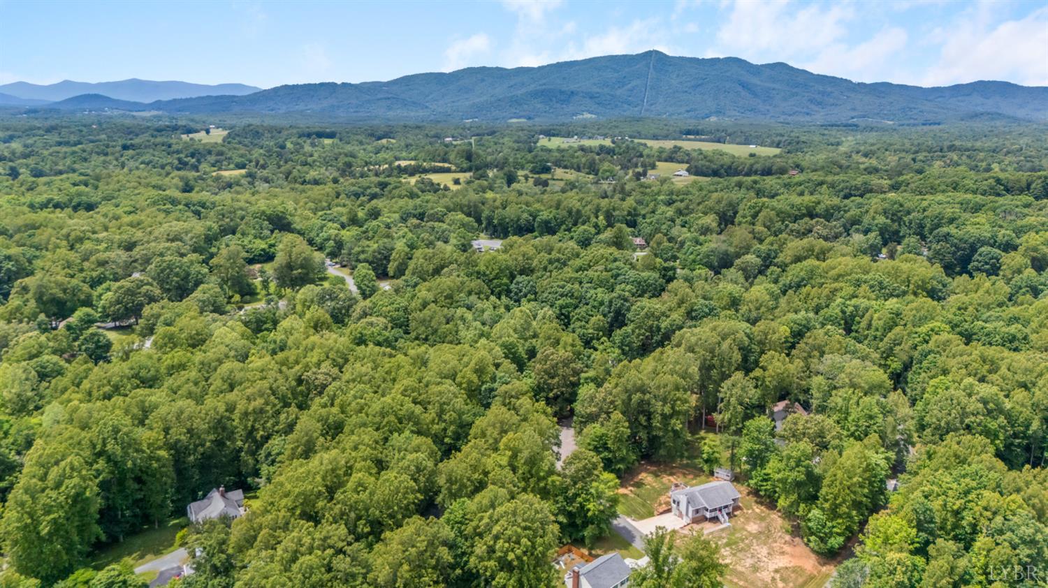 125 Cane Raiser Court Amherst, VA 24521 - Photo 49 of 53
