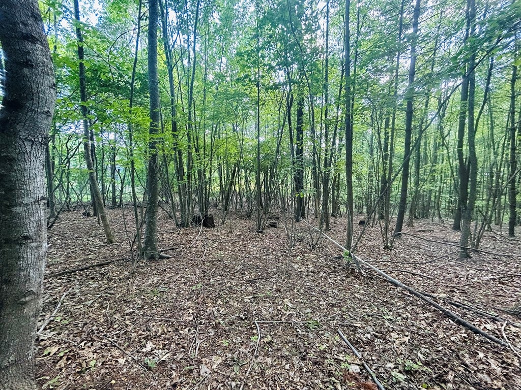 Tbd Pipers Gap Road Galax, VA 24333 - Photo 4 of 21 Gallery Image 4