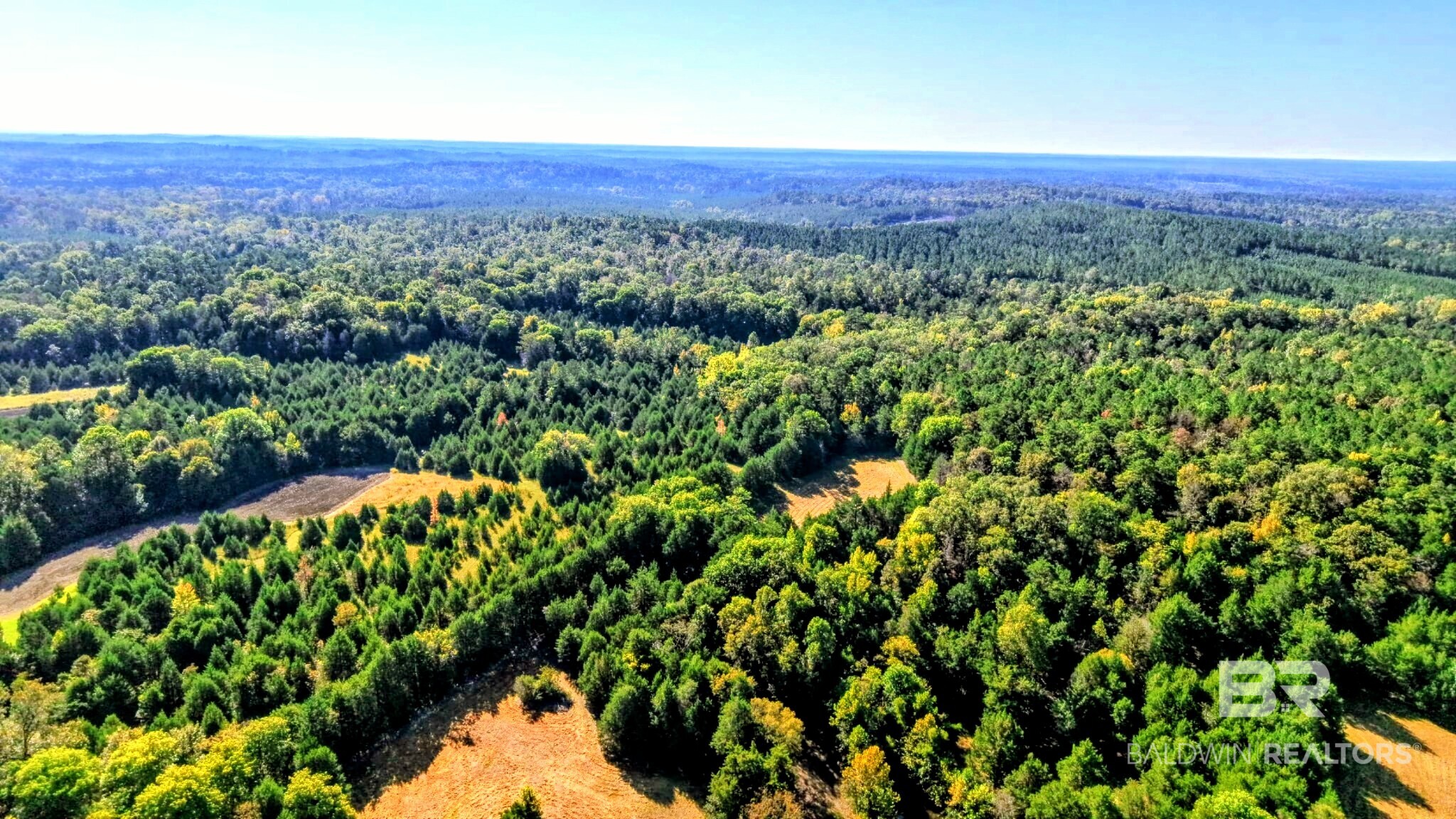 0 Highway 17 Millry, AL 36558 - Photo 49 of 73 Gallery Image 49
