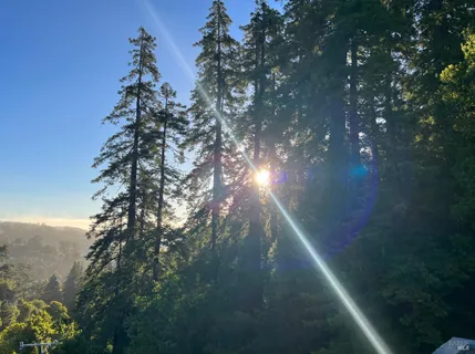 $1,995,000 | 70 Madrone Park Circle, Mill Valley, CA 94941