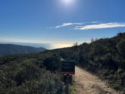 $1,995,000 | 70 Madrone Park Circle, Mill Valley, CA 94941