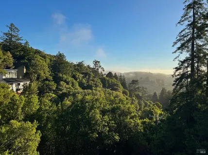 $1,995,000 | 70 Madrone Park Circle, Mill Valley, CA 94941
