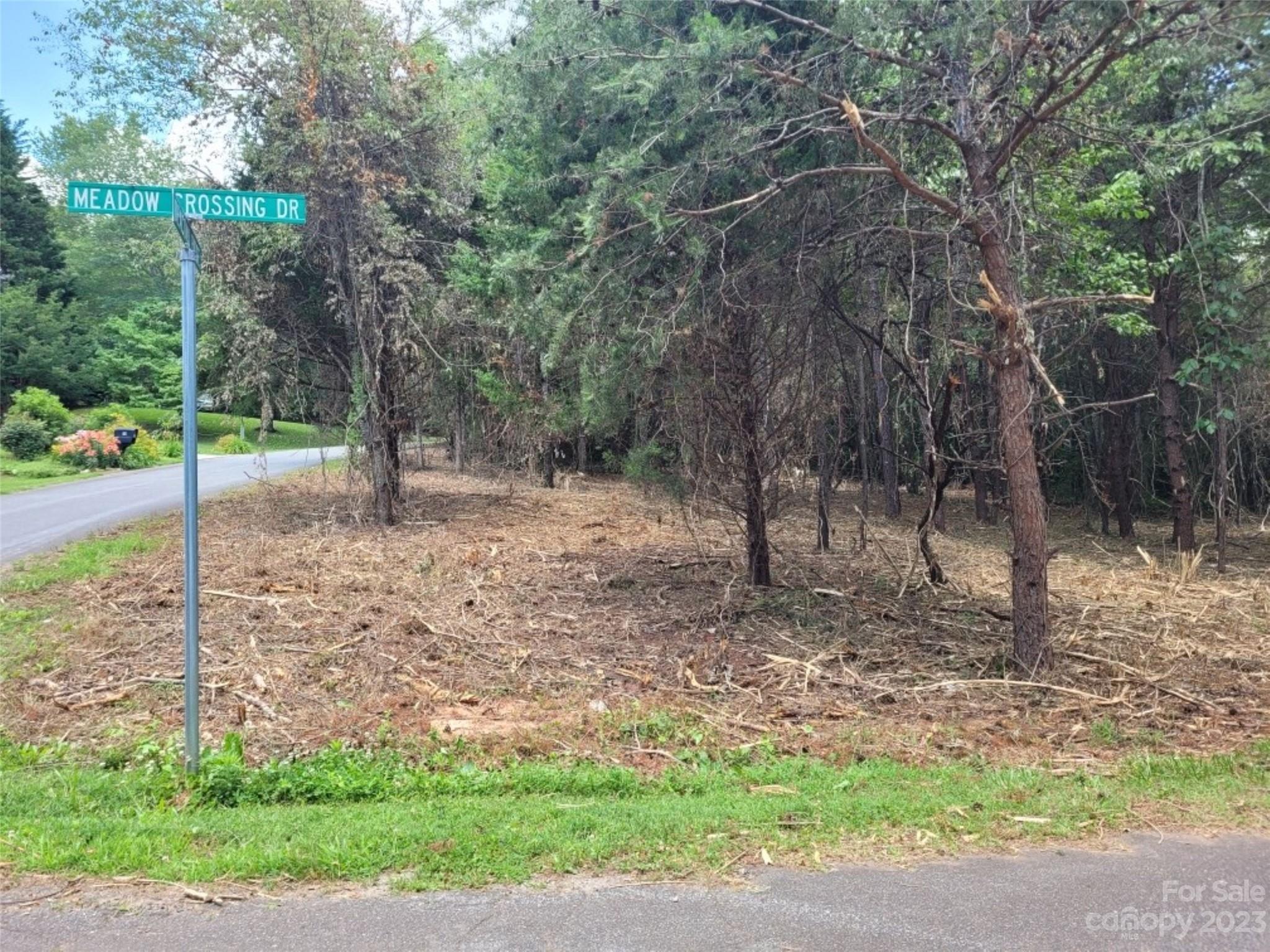 a view of a yard with a tree