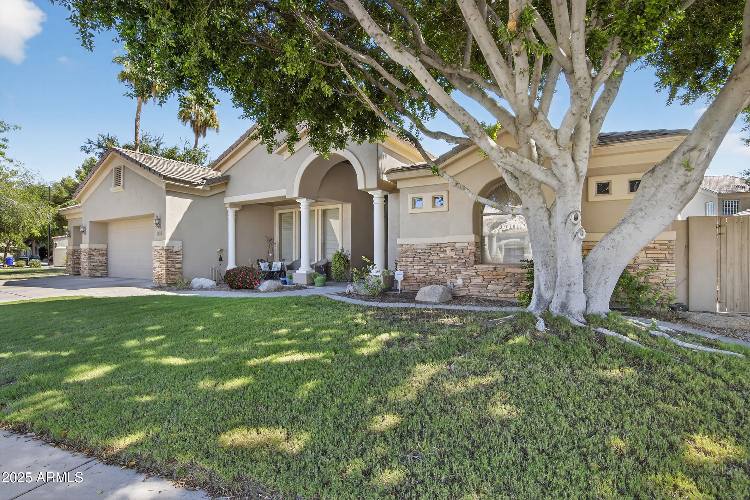 1333 North Cliffside Drive Gilbert, AZ 85234 - Photo 2 of 98 a front view of a house with a yard