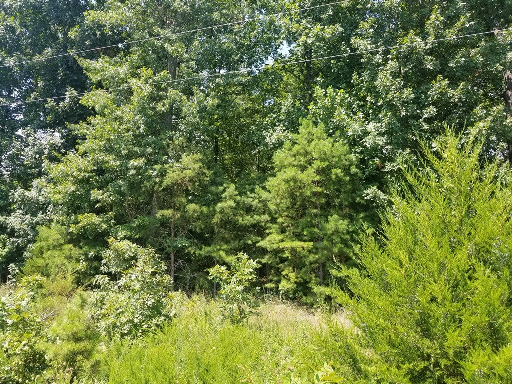 Spring Drive, Unit 24 Appomattox, VA 24522 - Photo 3 of 3 Gallery Image 3