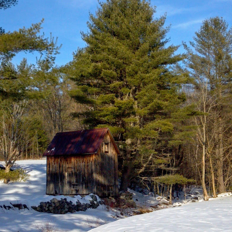 74 Andover Road Rumford, ME 04276 - Photo 16 of 45 Apple Shed at Farm
