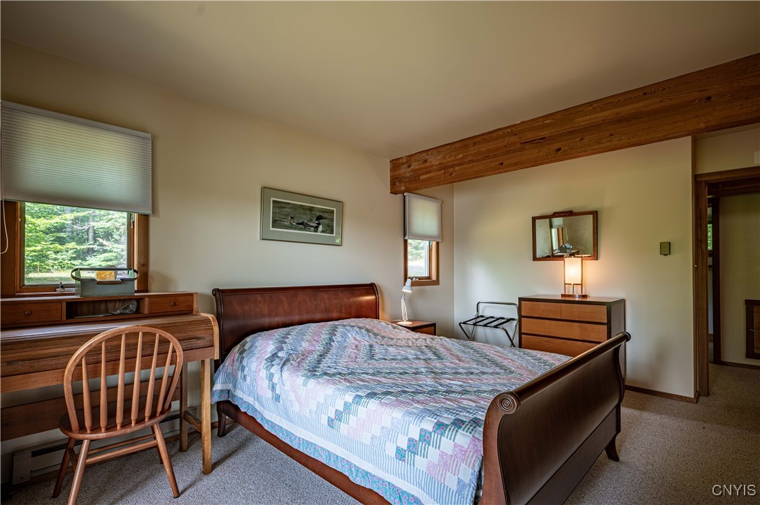 411 Maple Lodge Road Indian Lake, NY 12812 - Photo 20 of 42