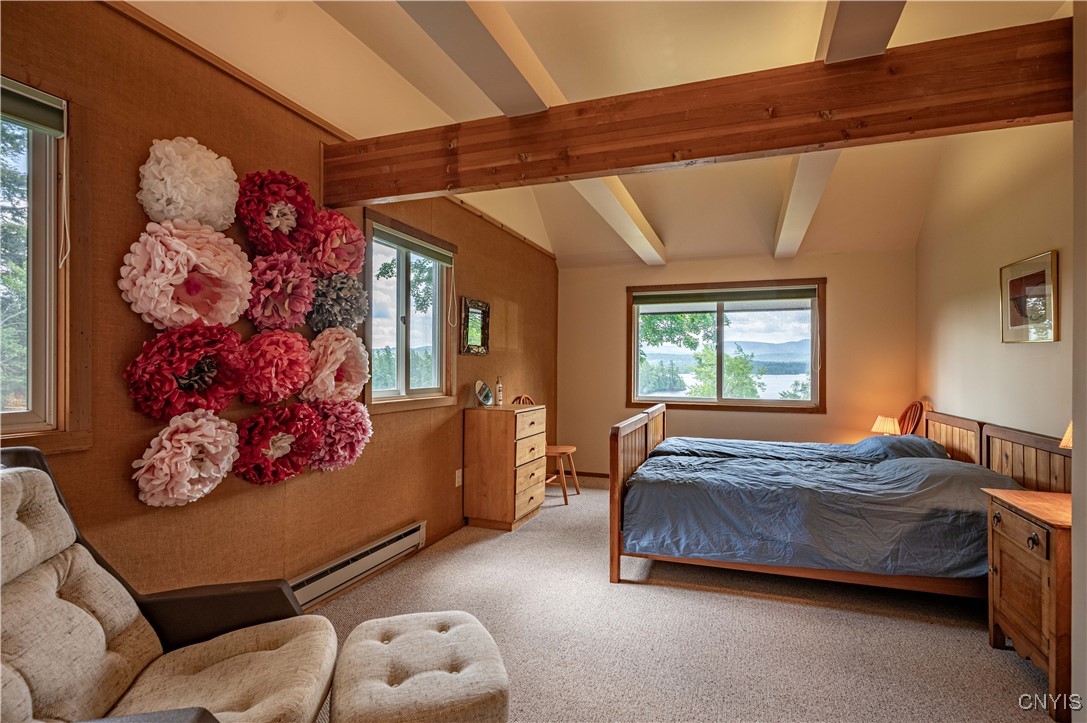 411 Maple Lodge Road Indian Lake, NY 12812 - Photo 26 of 42