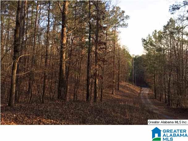 8681 Central Road Warrior, AL 35180 - Photo 27 of 31