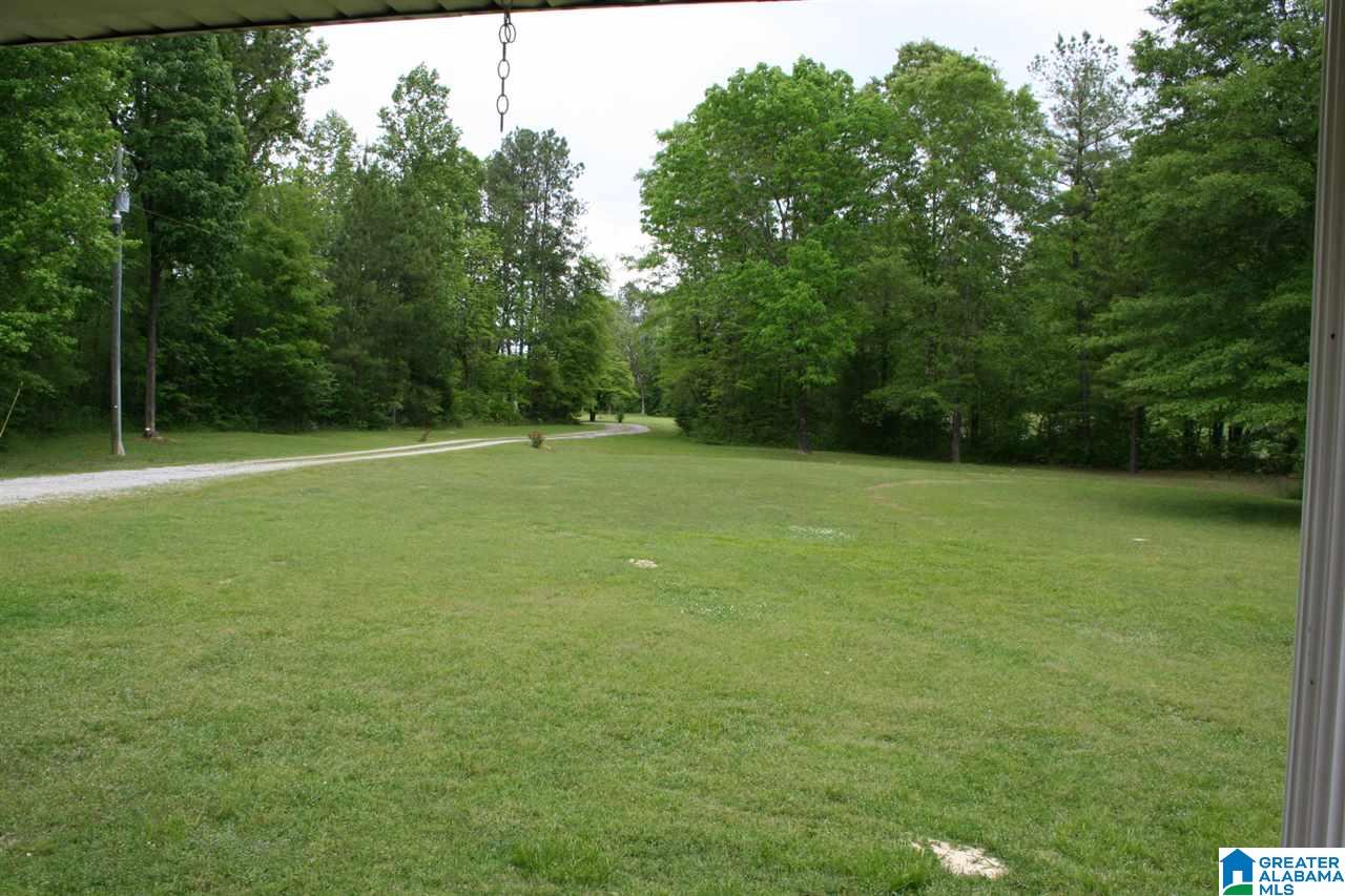 7340 Highway 144 Ragland, AL 35131 - Photo 32 of 40