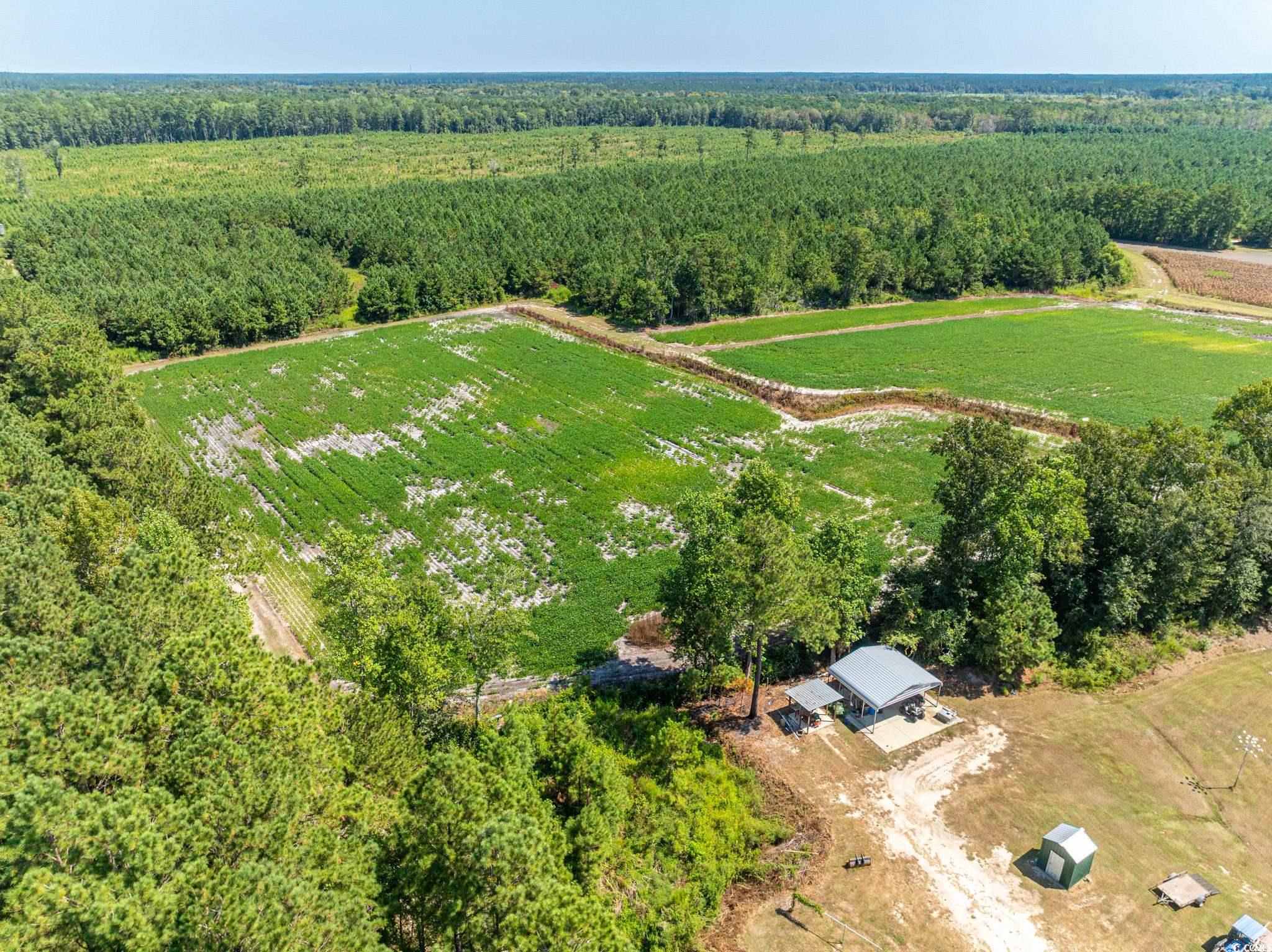 0 No Where Road Clarendon, NC 28432 - Photo 12 of 22 Aerial overview of property's location featuring rural landscape and abundant farmland