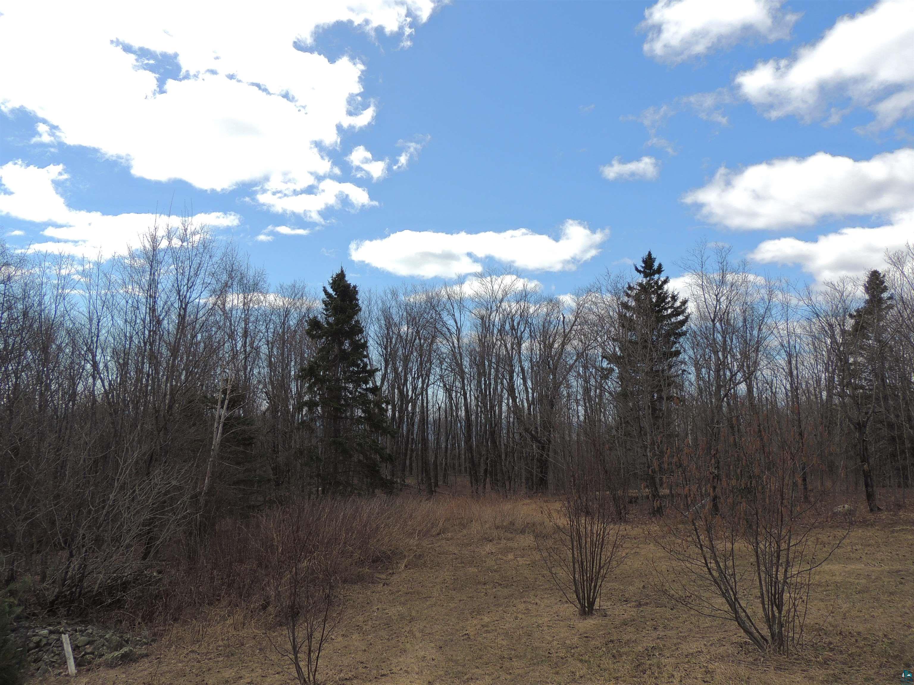 Xxx Springdale Road Tofte, MN 55615 - Photo 8 of 36