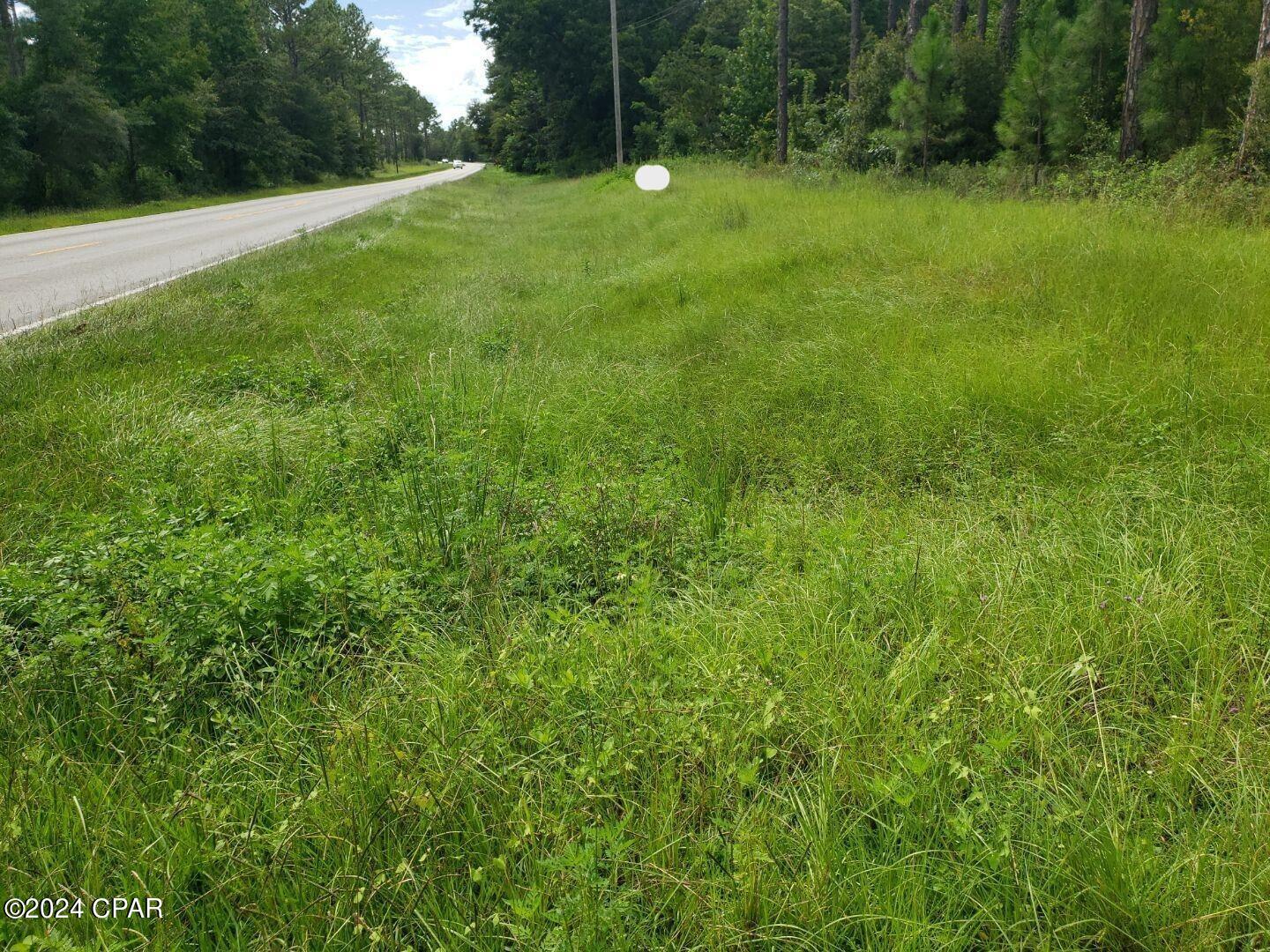 0 Clayton Road Chipley, FL 32428 - Photo 6 of 16