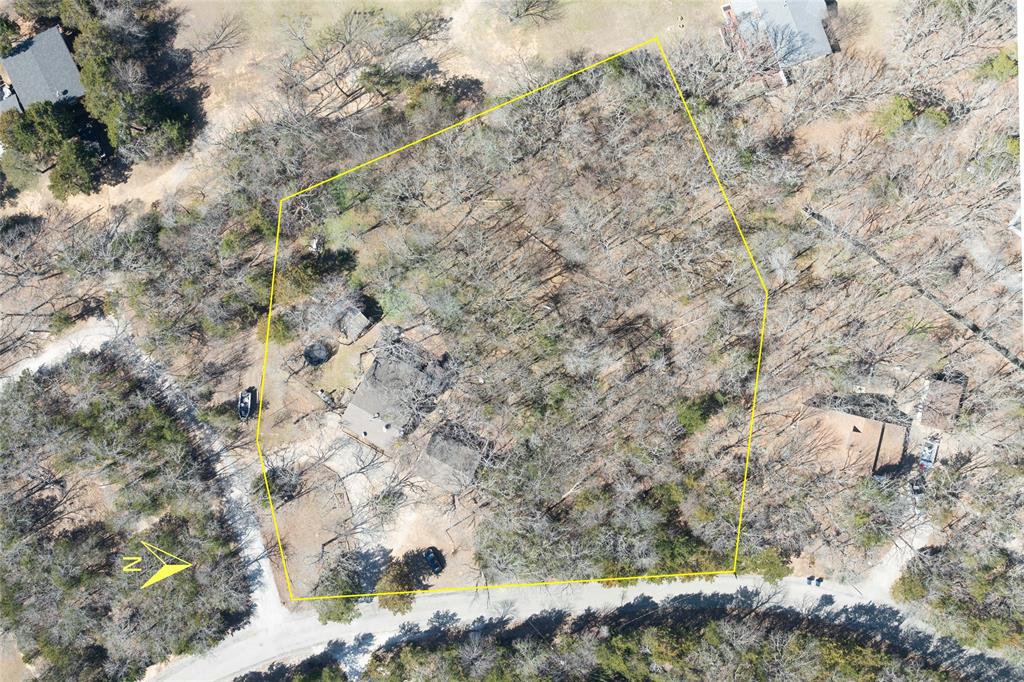 101 Frazier Oaks Road Pottsboro, TX 75076 - Photo 35 of 36 a view of a yard with a tree