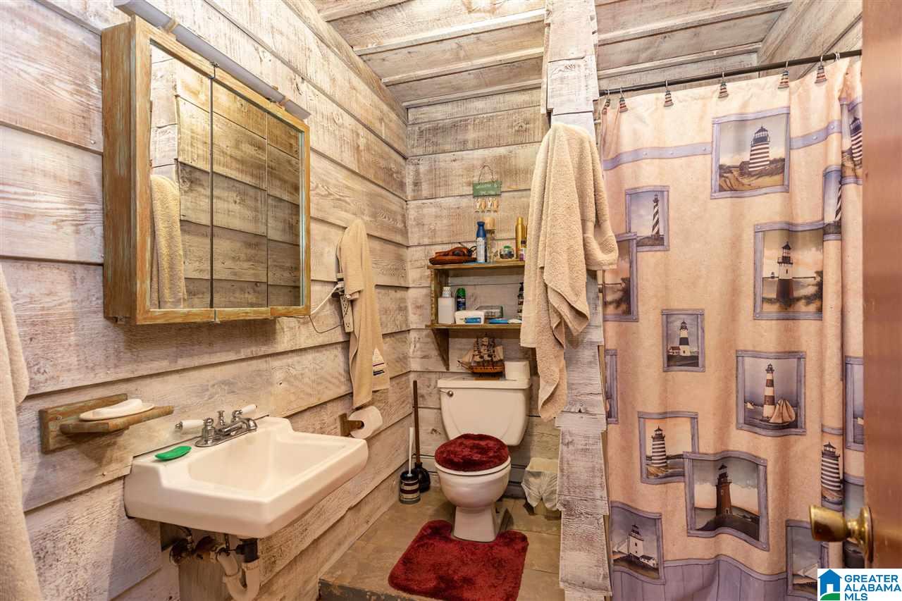 45 Clearwater Point Road Cropwell, AL 35054 - Photo 28 of 39