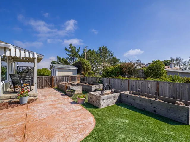 a view of a backyard with couches plants and large trees